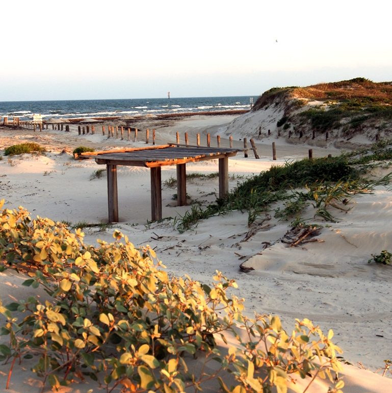 ????????????????????????????????????